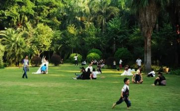 2024年幼儿园游园活动方案参考5篇