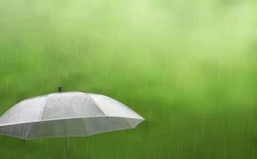 雨来小英雄演讲稿精选7篇