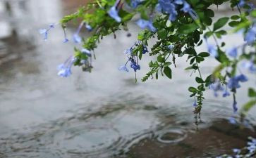 雨来小英雄演讲稿8篇