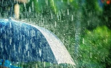 清明前的雨作文8篇