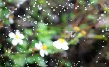 暴雨的作文7篇
