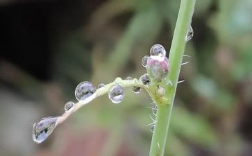 听秋天的雨心得体会8篇