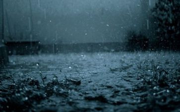 我是雨的作文600字8篇