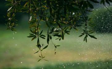 雨课堂教学心得体会优质8篇