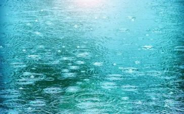 小英雄雨心得体会6篇