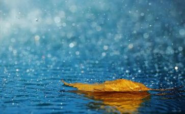 春天的雨中班教案精选6篇