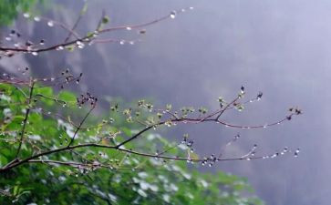 幼儿园大班春雨教案8篇