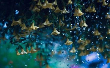 大雨小雨教案反思7篇