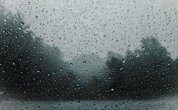 秋天的雨读书心得6篇