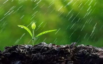 听秋天的雨心得体会模板8篇