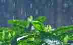 要下雨了教案6篇