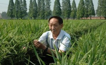 袁隆平的优秀事迹6篇