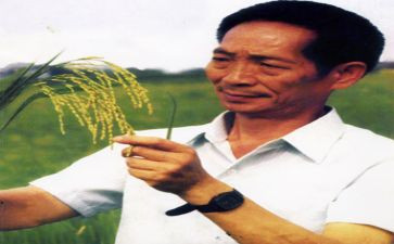 袁隆平的事迹心得体会6篇