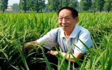 2024年关于袁隆平的作文6篇