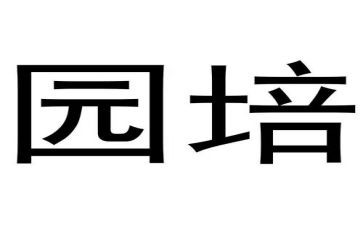 2024年幼儿园培训心得参考7篇