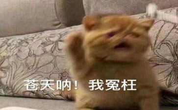 谁冤枉了我作文推荐6篇