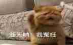 谁冤枉了我作文推荐6篇