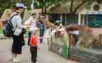 幼儿园园物工作计划6篇