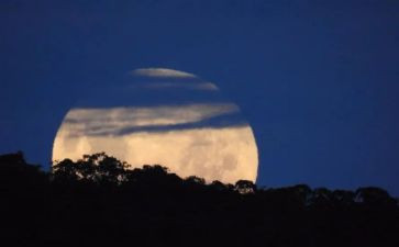 大班捞月亮教案参考7篇
