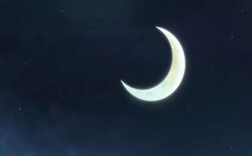 大班捞月亮教案7篇