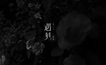 遇见---作文5篇
