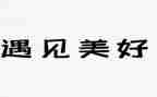 遇见____的作文600字7篇