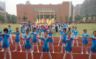 奥运会心得体会作文6篇