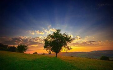 与众不同的人作文精选7篇