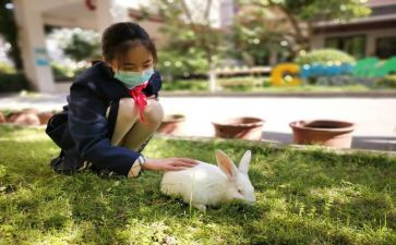 育子心得体会范文优秀7篇