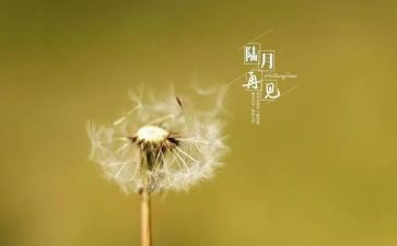 再见作文优秀5篇