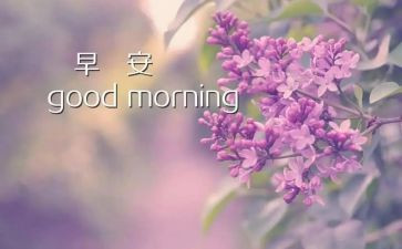 早教圣诞活动方案8篇