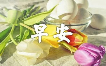 社区早教活动方案8篇