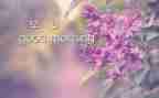 早教中心月活动总结5篇