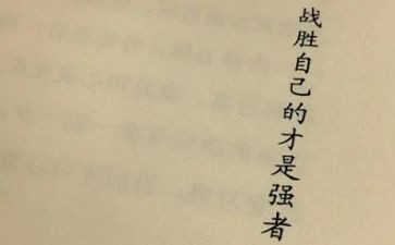 战胜挫折,走向成功演讲稿8篇