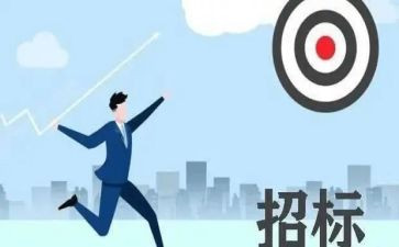 2024年招标办工作总结5篇