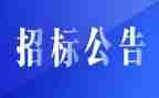 招标工作总结通用5篇