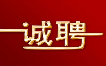 教师招聘个人总结7篇