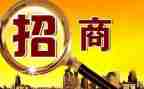 大招商工作计划参考7篇