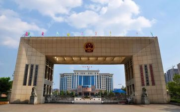 乡镇党政办公室个人总结7篇
