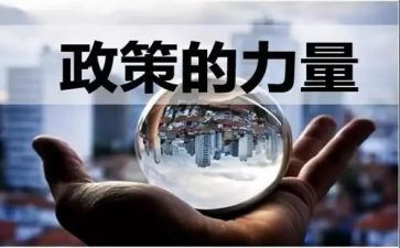 学政策心得体会8篇