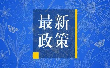 双减政策下教师的心得体会推荐6篇