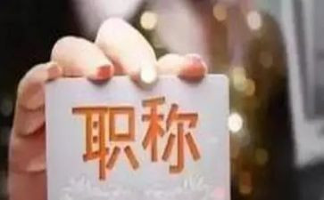 正高级工程师工作总结最新8篇