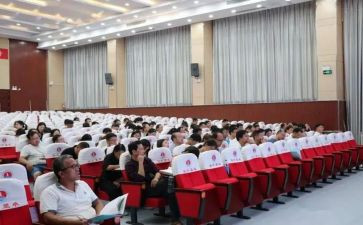 学校政教年度个人总结6篇