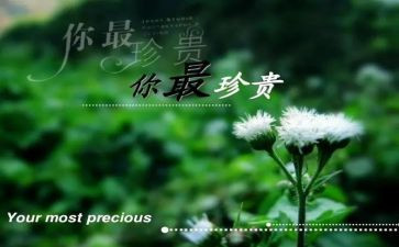 《珍贵的礼物》作文精选8篇