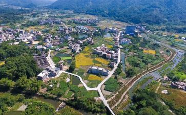 乡村振兴月工作计划5篇