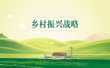 乡村振兴帮扶工作总结6篇