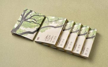 哲学与人生心得体会6篇