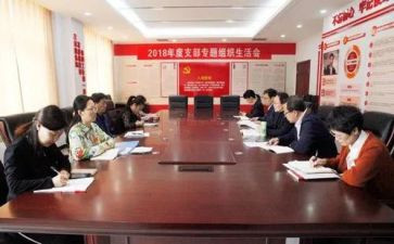 党支部全年工作计划8篇