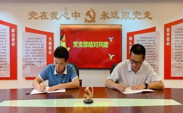党支部述职职报告最新7篇