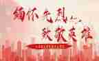 向英雄致敬优秀作文8篇